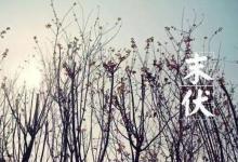 天高月明：伏日未盡 防暑降溫不能放松