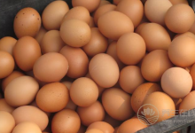 喝粥養(yǎng)胃真的是謠言嗎？