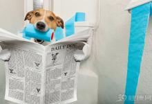 關(guān)于長(zhǎng)壽，你有4個(gè)真相要知道！