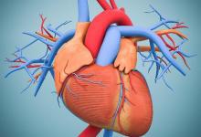 運動“健心”是長壽的秘訣！