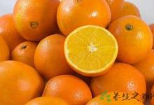 上班族應該吃什么水果