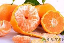 上班族日常吃什么水果好