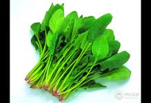 體重遲遲下不去？減肥期間吃這三樣，讓你瘦不停