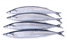 健忘怎么辦？常吃這幾種食物，幫助找回你的記憶