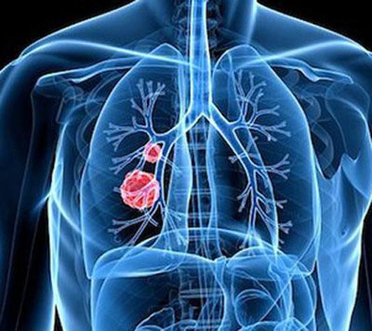 長期吃梨有潤肺止咳的功效嗎？