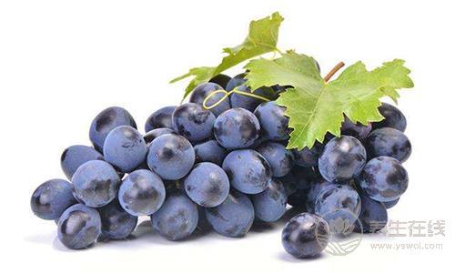 小龍蝦不能跟什么一起吃 搭配這些食物會中毒