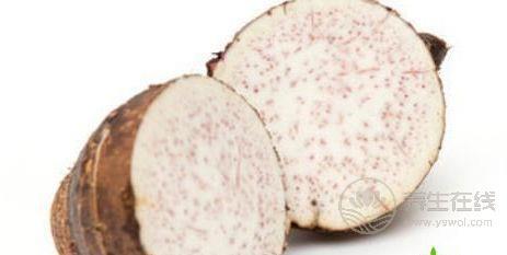 芋頭是不是發物芋頭搭配什么最營養