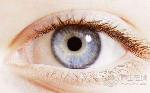 眼睛需要的營養素,哪些食物對眼睛好 眼睛需要的營養素,哪些食物對眼睛好