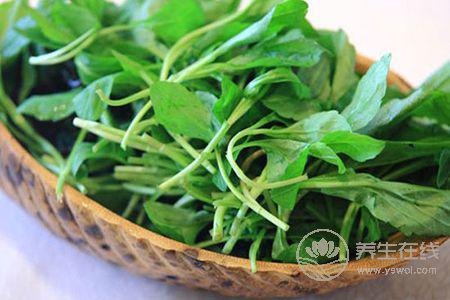 過敏性紫癜怎樣食補好呢? 過敏性紫癜怎樣食補好呢?