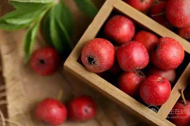 慎吃山楂！山楂不能和7種食物一起吃
