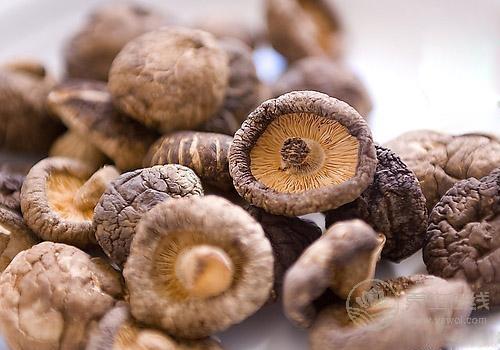 如何挑選干香菇？泡完干香菇的水千萬別倒