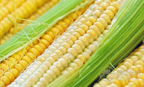常吃玉米的好處是什么