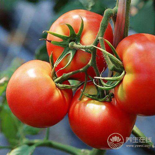 吃蔬菜雖好，但這些食用禁忌你知道幾個？