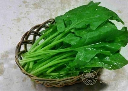 當心！！這7種蔬菜沒煮熟似砒霜