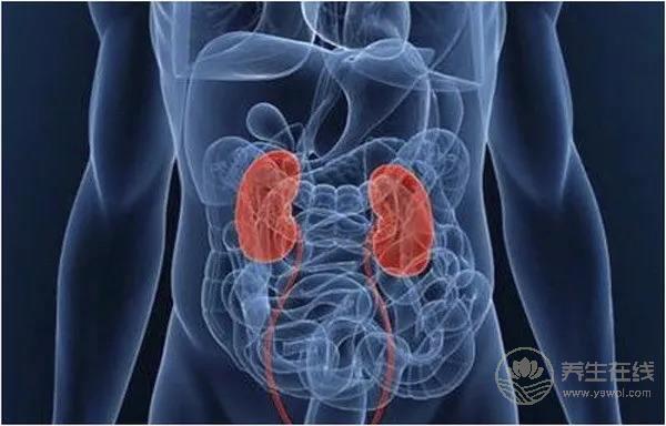 腎不好的朋友，這幾種食物要少吃