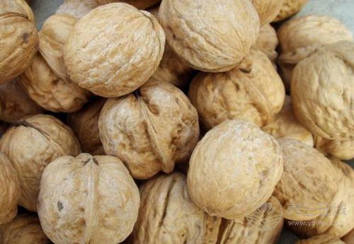 常吃核桃，對(duì)身體有這些好處，現(xiàn)在知道也不晚