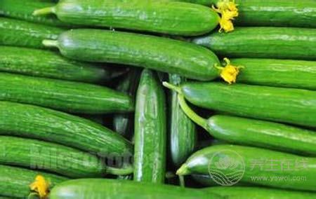 天然美肌吃起來  這些綠色食物具有天然的美肌功效