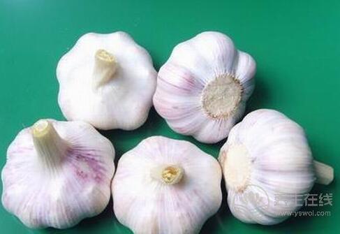 別嫌大蒜味大，它的功效卻很大