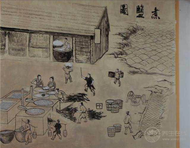 天天吃鹽你的吃鹽方式正確嗎？七大對鹽的誤解帶你打開正確吃鹽方式