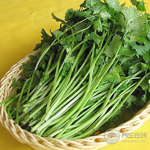 常吃香菜有4大好處，你知道嗎