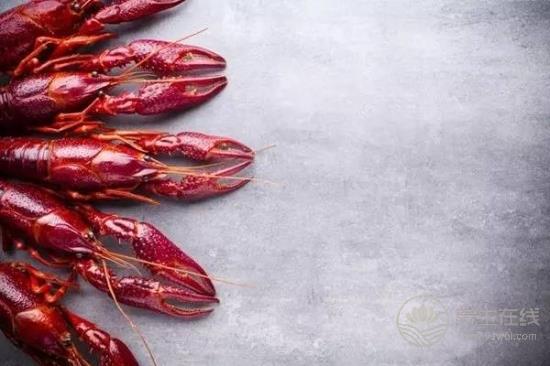 作為一只正經(jīng)的小龍蝦，這些謠言“黑鍋”我不背！