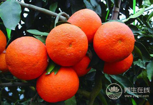 肝好的人常有這些習慣！常吃3種果蔬，肝更好