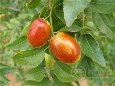 棗不能和這些食物一起吃 紅棗+海蟹容易患寒熱病