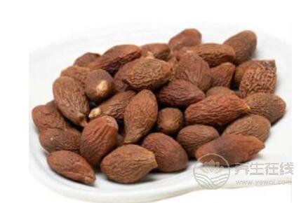 胖大海能吃嗎？不適合吃胖大海的人群