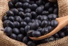 如何選購(gòu)優(yōu)質(zhì)黑豆？黑豆有助防止大腦老化