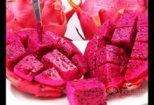 常吃火龍果的好處，火龍果的營養價值與飲食宜忌