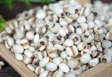 吃什么養(yǎng)生  薏米與這物搭配食用養(yǎng)生效果更佳