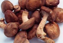 肝臟不好，常吃這4種養(yǎng)肝護(hù)肝的蔬菜