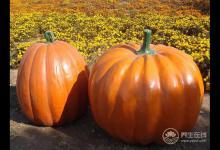 女人常吃6種食物，補血養氣，人年輕
