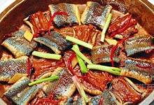 吃蛇肉 莫忽視蛇肉的功效和食用禁忌