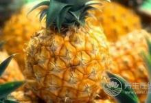 養生太極拳的意氣運動