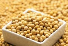 盤點3種豆類的營養價值，常吃讓你遠離疾病困擾