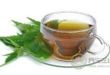 六款中藥減肥茶配方 消脂減重排毒