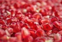 別吃只果肉不吃籽  這些果蔬籽竟有這么多好處