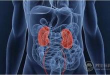 開學啦！高三學生如何從飲食消除腦疲勞