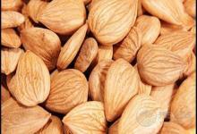 杏仁作用大，對身體有這些好處，你知道嗎？
