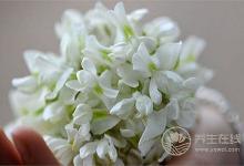 愛情果的秘密  美容還能提高性能力