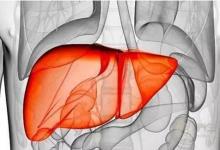 做夢睡不好是因為“血虛”，教你如何養(yǎng)血，從根本解決身體病灶