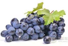吃葡萄后喝水會引起腹瀉 吃葡萄注意七個事項