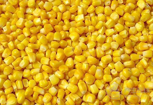 常吃玉米有4大好處，它的須別扔！也很養(yǎng)生