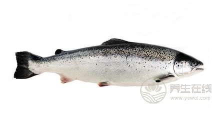 五種食物幫你消炎