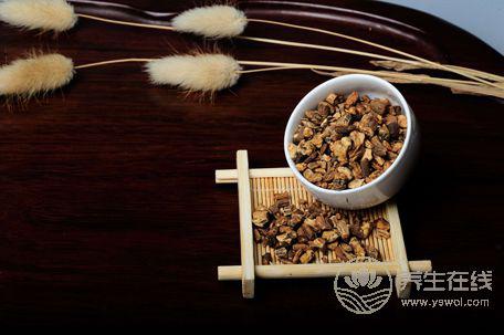 蒲公英根怎么吃養(yǎng)生功效大