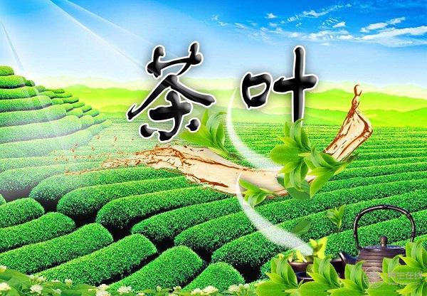 15種養(yǎng)生茶配方大全，你知道它們的功效嗎？