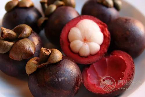 有“水果皇后”之稱的山竹，不適合這4類人食用