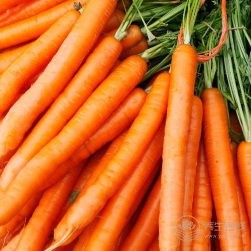 4種“換血食物”，每天吃一吃，血液越來越干凈