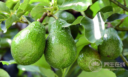 這5種水果你真的能吃嗎？